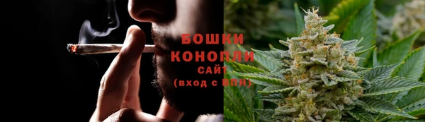 PSILOCYBIN Белокуриха